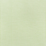 Schumacher Easton Stripe Indoor/Outdoor Leaf Fabric