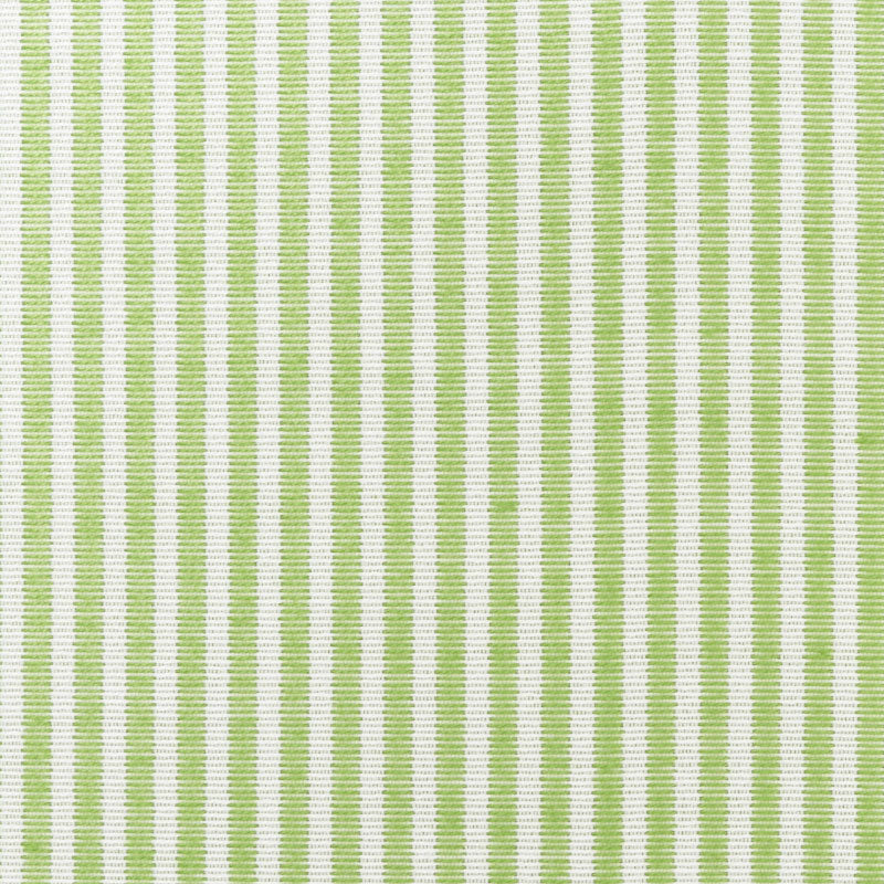 Schumacher Easton Stripe Indoor/Outdoor Leaf Fabric