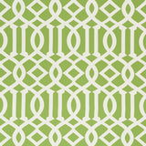 Schumacher Imperial Trellis Indoor/Outdoor Leaf Fabric