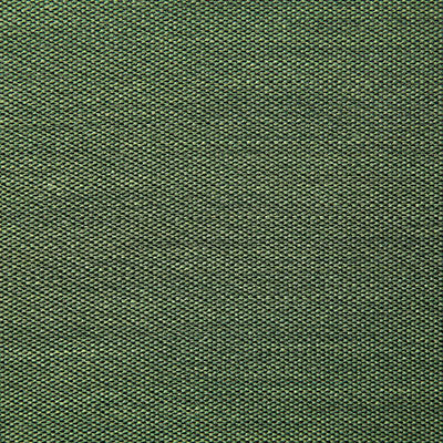 Pindler CLEARFIELD SPRING 7316 Fabric - Fabric Collection