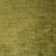 Pindler PARIS FERN 7333 Fabric - Fabric Collection
