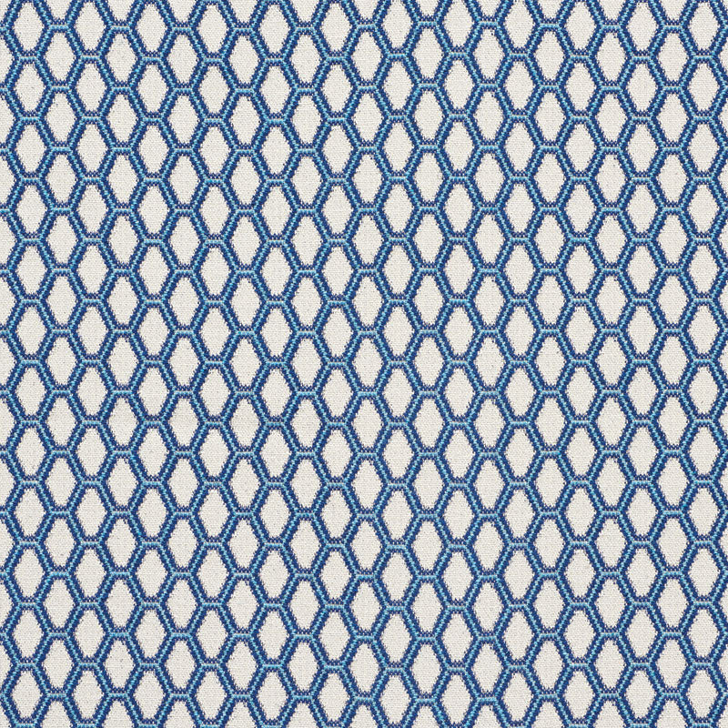 Schumacher Beehive Blue Fabric