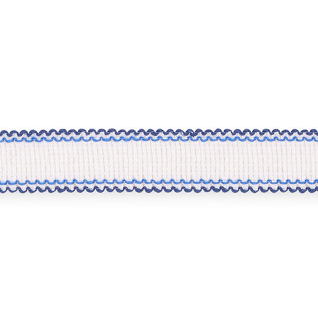 Schumacher 73570 FILIPPA TAPE INDOOR/OUTDOOR in MARINE Trim 