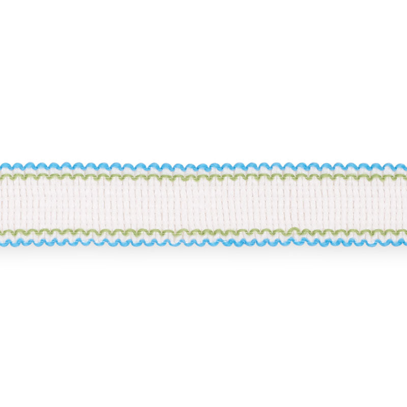 Schumacher 73571 FILIPPA TAPE INDOOR/OUTDOOR in AQUA Trim - 