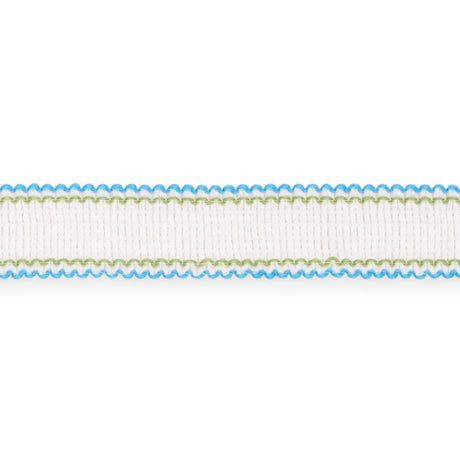 Schumacher 73571 FILIPPA TAPE INDOOR/OUTDOOR in AQUA Trim - 
