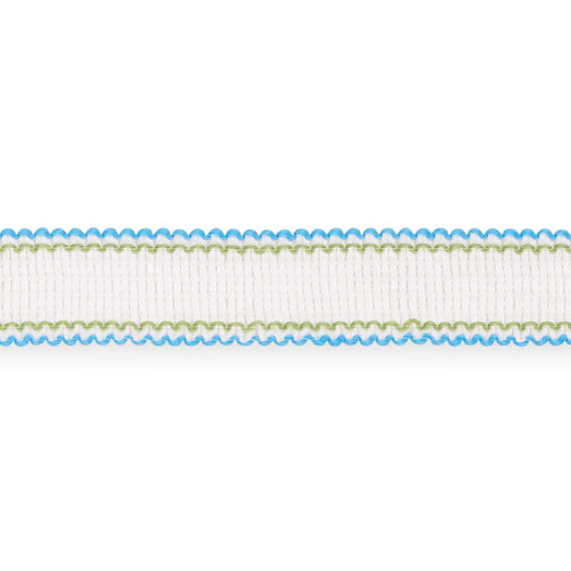 Schumacher 73571 FILIPPA TAPE INDOOR/OUTDOOR in AQUA Trim - 