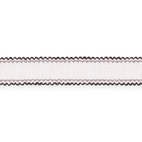 Schumacher 73573 FILIPPA TAPE INDOOR/OUTDOOR in SPECTATOR Tr