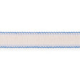Schumacher 73574 FILIPPA TAPE INDOOR/OUTDOOR in DELFT Trim -