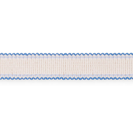 Schumacher 73574 FILIPPA TAPE INDOOR/OUTDOOR in DELFT Trim -