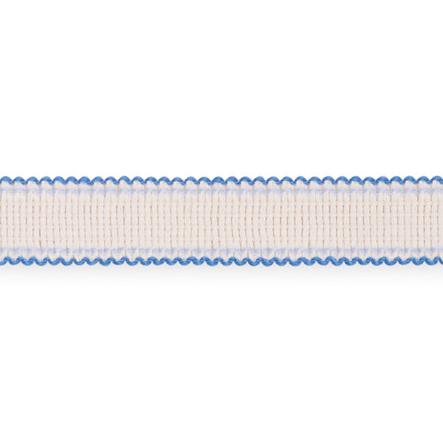 Schumacher 73574 FILIPPA TAPE INDOOR/OUTDOOR in DELFT Trim -