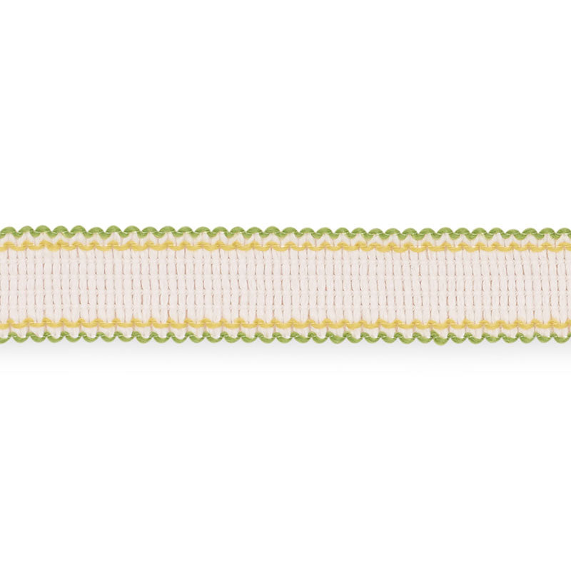 Schumacher 73575 FILIPPA TAPE INDOOR/OUTDOOR in LEAF Trim - 