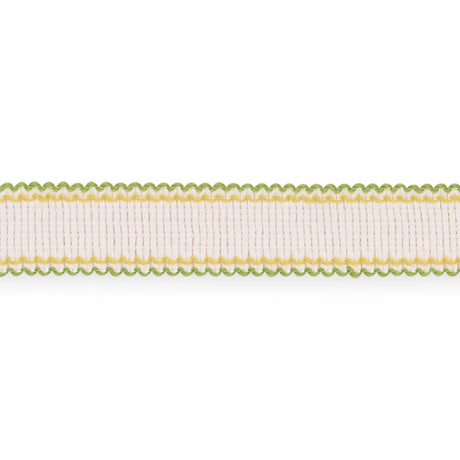 Schumacher 73575 FILIPPA TAPE INDOOR/OUTDOOR in LEAF Trim - 
