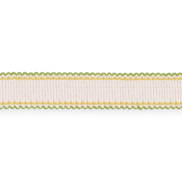 Schumacher 73575 FILIPPA TAPE INDOOR/OUTDOOR in LEAF Trim - 