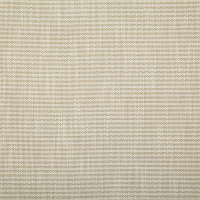 Pindler HAMPSTEAD DUNE 7380 Fabric - Fabric Collection