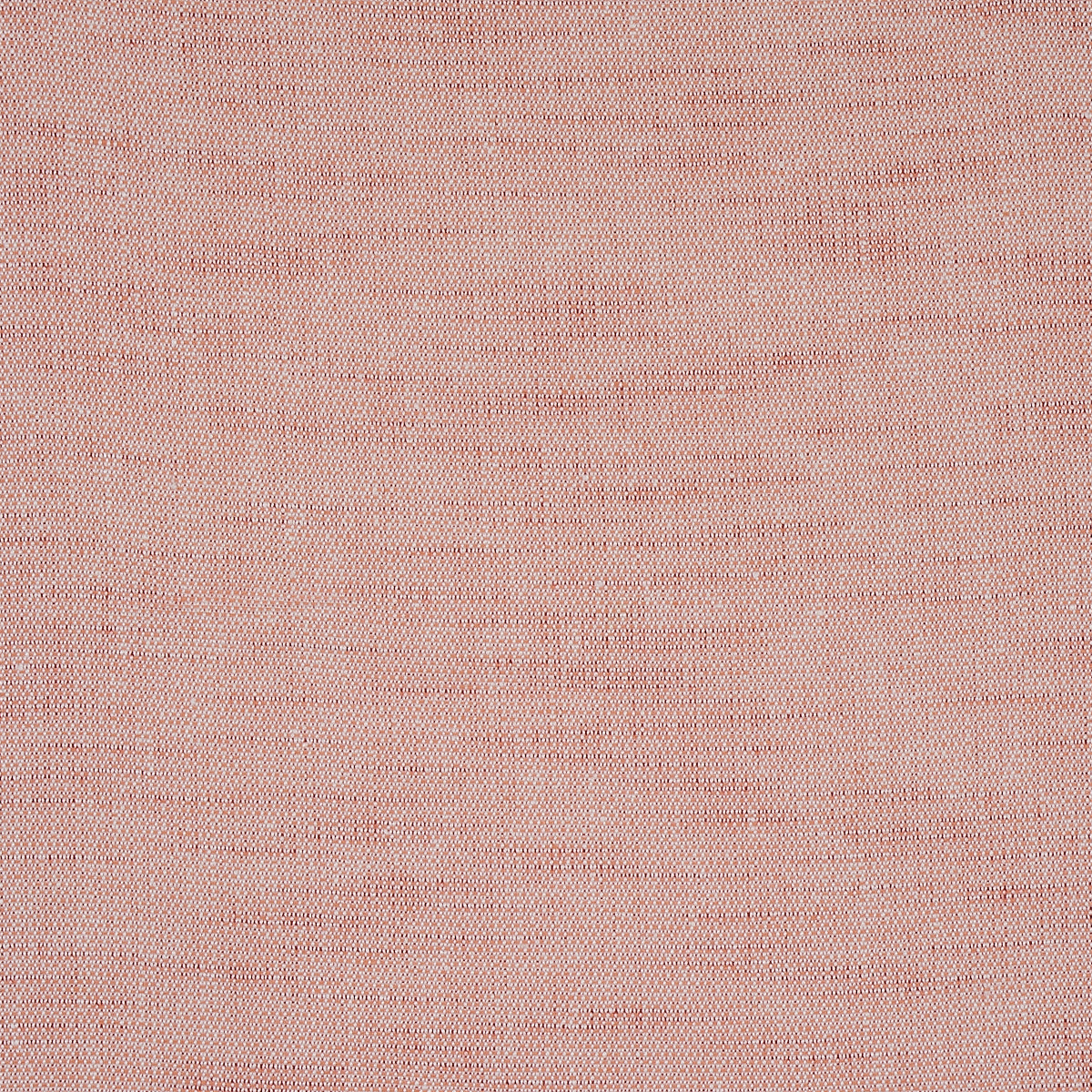 Eade’s CORAL