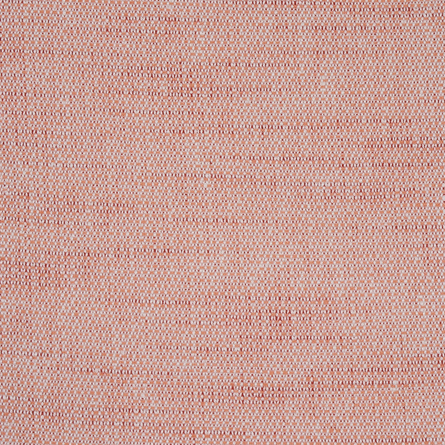 Eade’s CORAL