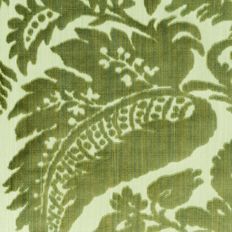 Schumacher Pavia Silk Velvet Olivine Fabric - Eade's Wallpaper