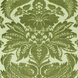 Schumacher Pavia Silk Velvet Olivine Fabric - Eade's Wallpaper