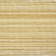 Schumacher 74241 GASPARD VELVET TAPE WIDE in GOLD Trim - STA
