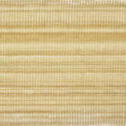 Schumacher 74241 GASPARD VELVET TAPE WIDE in GOLD Trim - STA