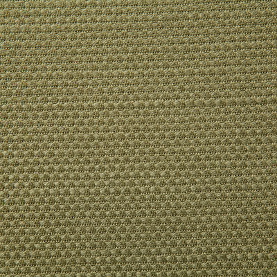 Pindler RUTH OLIVE 7439 Fabric - Fabric Collection