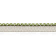 Schumacher 74904 KEATON LIP CORD INDOOR/OUTDOOR in LEAF Trim