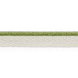 Schumacher 74927 COLEMAN LIP CORD in LEAF Trim - PERFECT BAS