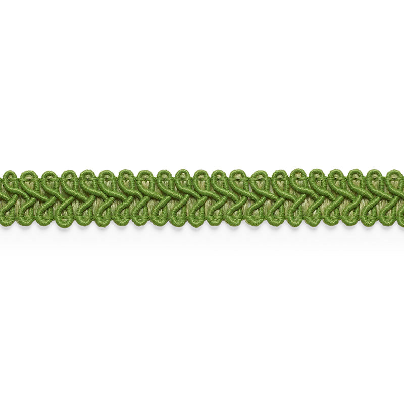 Schumacher 74964 ASTOR BRAID INDOOR/OUTDOOR in LEAF Trim - P