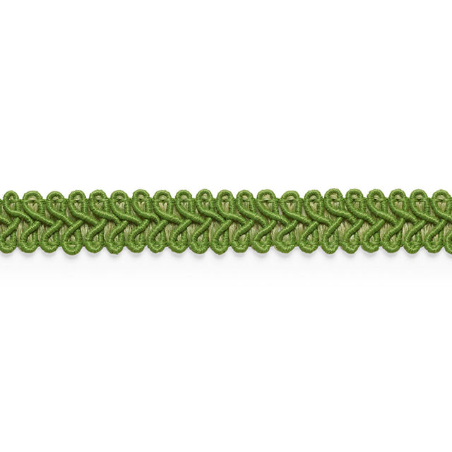 Schumacher 74964 ASTOR BRAID INDOOR/OUTDOOR in LEAF Trim - P