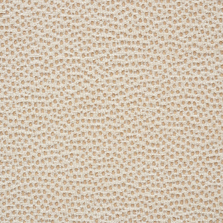 Schumacher Stingray Champagne Fabric - Eade's Wallpaper
