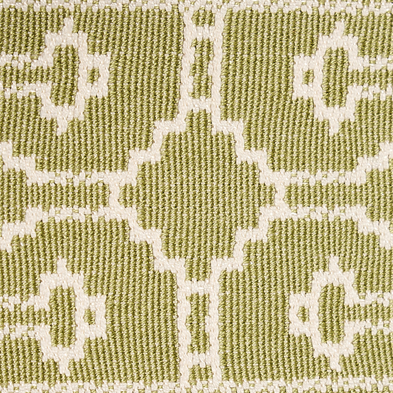 Schumacher 75287 FILBERT TAPE in GREEN Trim - NATURA
