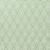 Schumacher Avila Embroidery Green Fabric