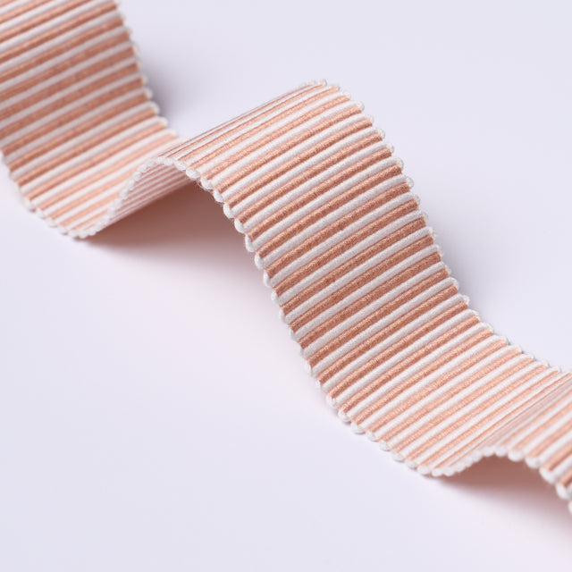Schumacher 75586 KNOX TAPE in BLUSH Trim - PERENNIAL FAVORIT