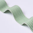 Schumacher 75588 KNOX TAPE in GREEN Trim - PERENNIAL FAVORIT