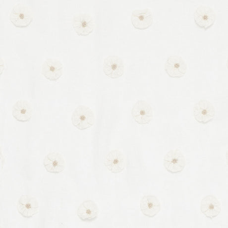 Eade’s IVORY