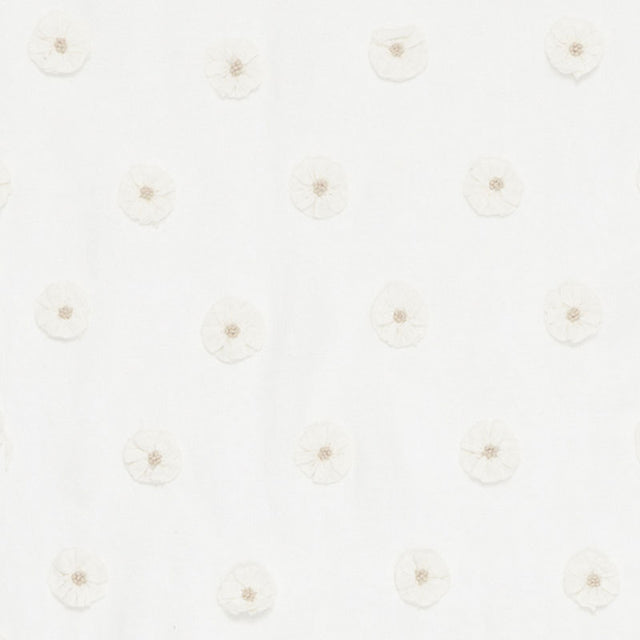 Eade’s IVORY