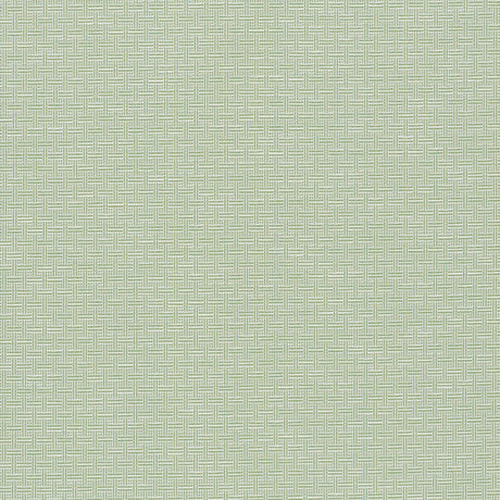 Schumacher Brickell Indoor/Outdoor Leaf Fabric