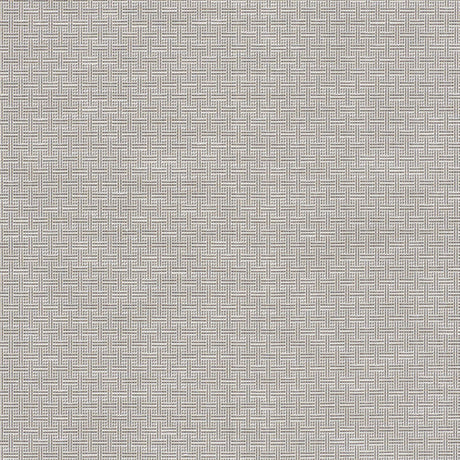 Schumacher Brickell Indoor/Outdoor Stone Fabric