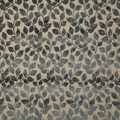 Pindler LOTTIE CHARCOAL 7603 Fabric - Fabric Collection
