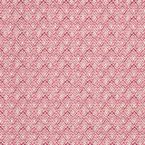Eade’s FUCHSIA