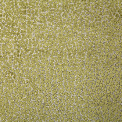 Pindler COLE OLIVE 7643 Fabric - Fabric Collection
