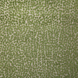Pindler COLE PALM 7643 Fabric - Fabric Collection