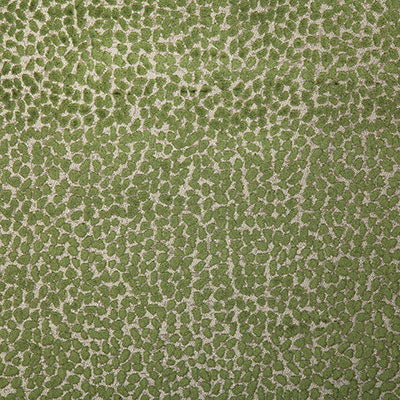 Pindler COLE PALM 7643 Fabric - Fabric Collection
