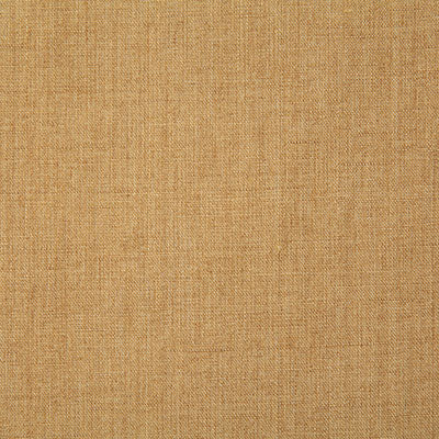 Pindler LINETTE GOLD 7646 Fabric - Fabric Collection