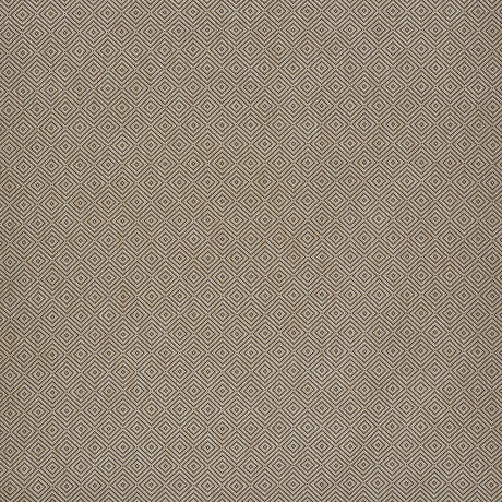 Schumacher Montane Raffia Fabric - Eade's Wallpaper