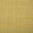 Pindler PALOMA CITRUS 7647 Fabric - Fabric Collection