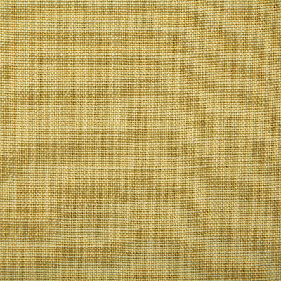 Pindler PALOMA CITRUS 7647 Fabric - Fabric Collection