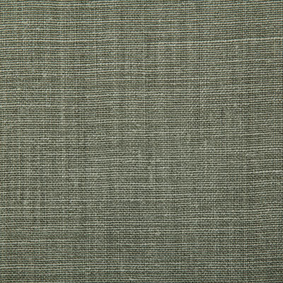 Pindler PALOMA SAGE 7647 Fabric - Fabric Collection