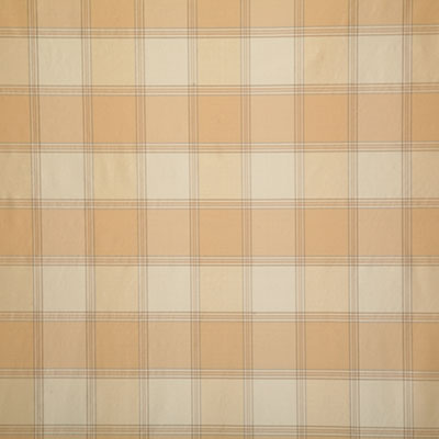 Pindler SHANE GOLDEN 7675 Fabric - Fabric Collection