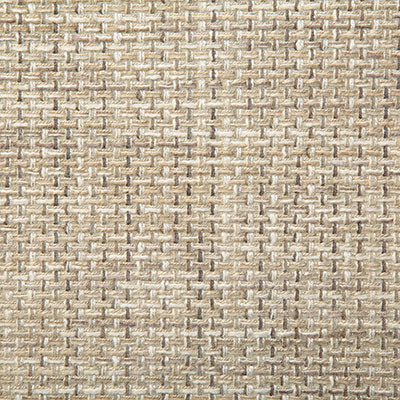 Pindler PETRUS PEBBLE 7710 Fabric - Fabric Collection